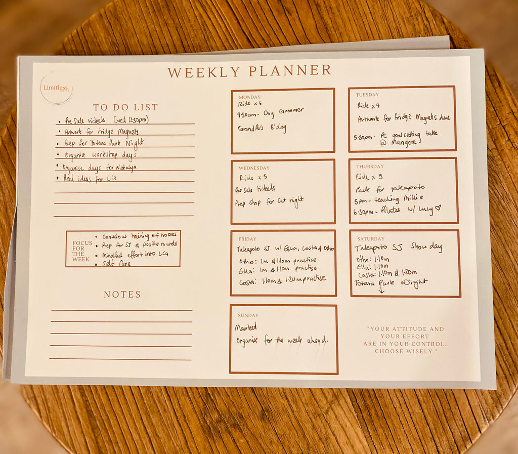 Weekly Planner Filled out
